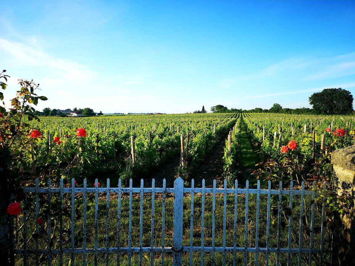 Ferienwohnung La Maison Des Vignes Saint Emilion Exterior foto